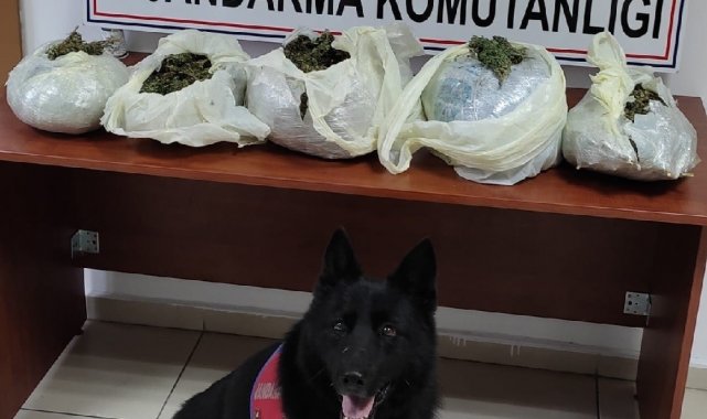 Adana'da uyuşturucu operasyonu: 1 gözaltı