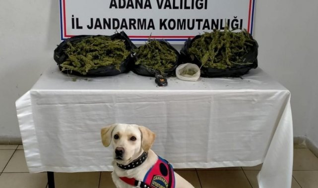 Adana'da uyuşturucu operasyonu: 1 gözaltı