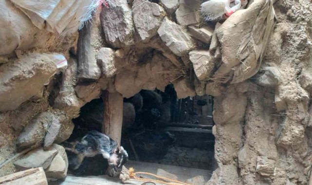 Adıyaman'daki depremde iki yapı hasar gördü