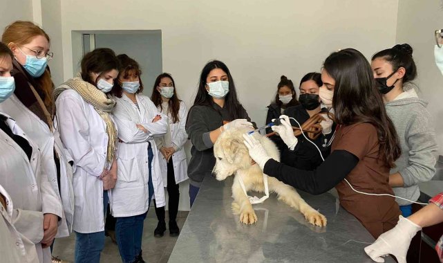ADÜ Veteriner Fakültesi Polonyalı öğrenci topluluğunu ağırladı