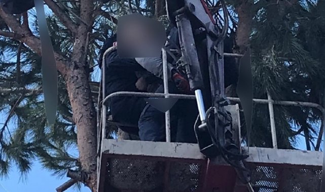 Ağaç budarken elektrik akımına kapılan kişi hayatını kaybetti