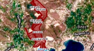 Ağaçlar Kesildi İddiası İçin Bodrum Belediyesi Açıklama Yaptı