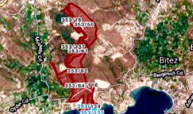 Ağaçlar Kesildi İddiası İçin Bodrum Belediyesi Açıklama Yaptı