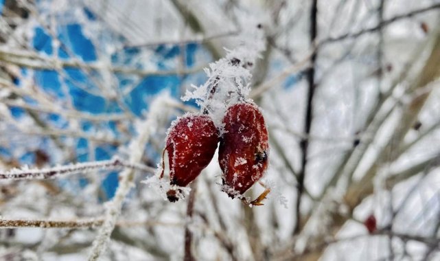 Ağrı'da ilkbaharda da soğuklar etkisini sürdürüyor