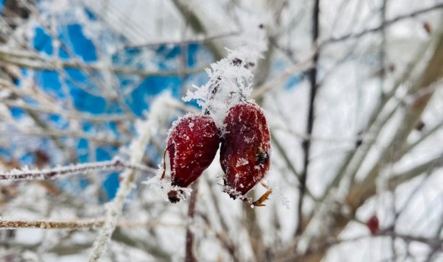 Ağrı'da kış manzarası göz kamaştırıyor