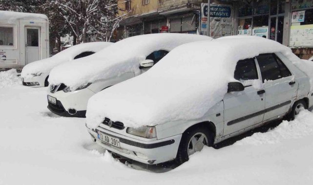 Ahlat'ta yoğun kar yağışı