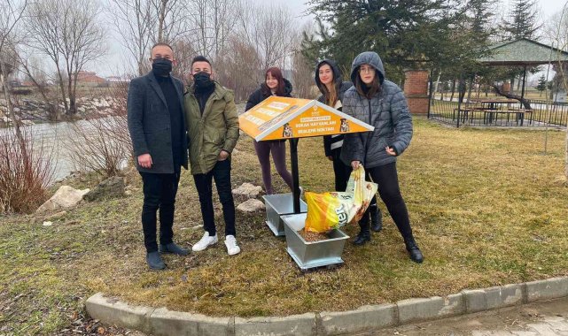 AK gençler sokak hayvanlarını unutmadı