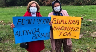 Akbelen Ormanı İçin Adalet