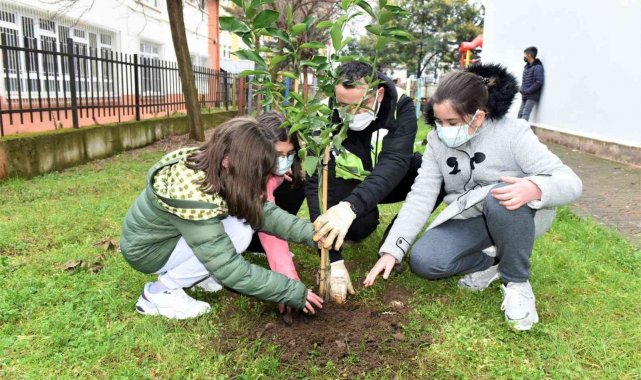 Altınordu&#039;da fidanlar toprakla buluşturuluyor