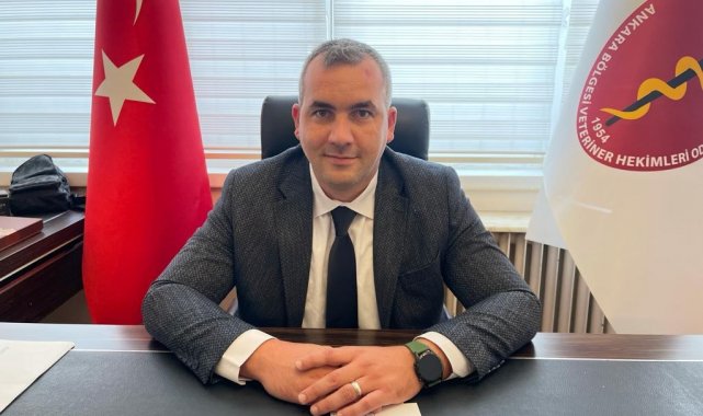 Ankara Bölgesi Veteriner Hekimler Odası'ndan dişi hayvanların kesiminin durdurulması talebi