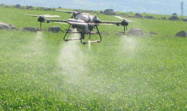 Araban'da sarımsak tarlaları dronla ilaçlandı