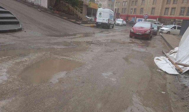 Artuklu'da çukurlardan geçilmiyor