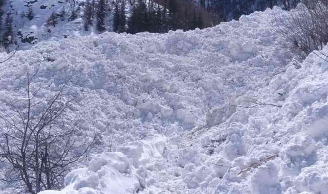 Artvin'de çığ köy yolunu ulaşıma kapattı