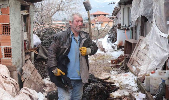 Aşı yapılan 150 keçilerinden 70'i telef olan çoban aile gözyaşlarına boğuldu