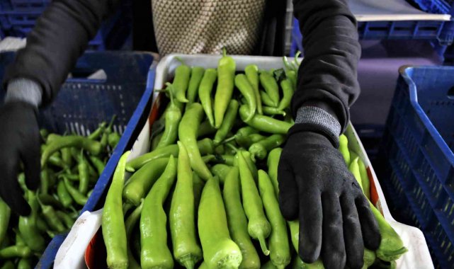 ATB'den şubat ayı sebze ve meyve endeksi açıklaması