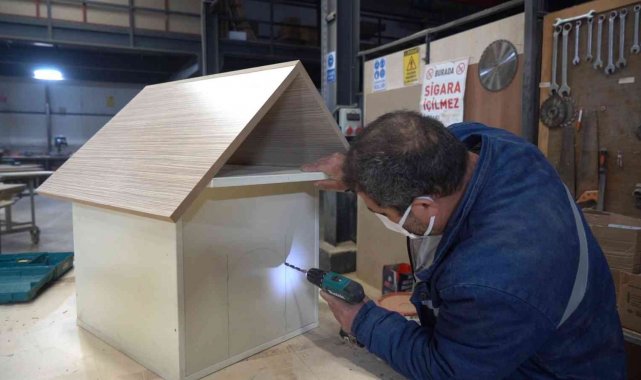 Atık malzemelerden sokak hayvanlarına sıcak yuva