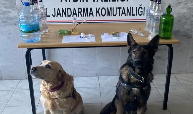 Aydın'daki uyuşturucu operasyonlarında 4 şüpheli tutuklandı