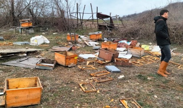 Baba yadigarı idi, gördükleri manzara ile şoke oldular