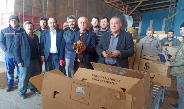 Bafra&#039;da tütün alımları başladı