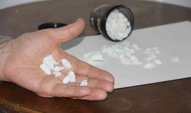 Balık taşı böbrek hastalarının ilgi odağı