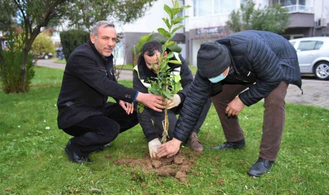Başkan Tören: &quot;Kentimizin yeşil varlığını önemsiyoruz&quot;
