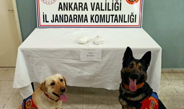 Başkent'teki uyuşturucu operasyonlarında 9 gözaltı