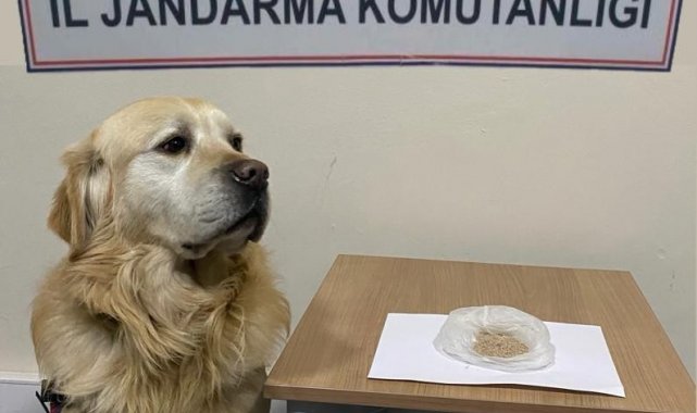 Başkent'teki uyuşturucu operasyonlarında 9 gözaltı