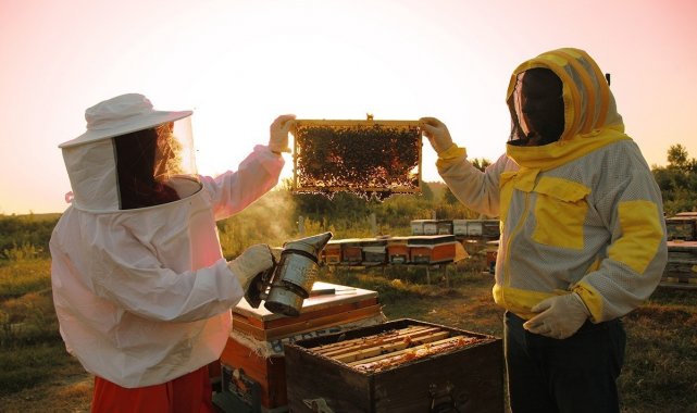 Başvuru için 15 Mart son gün