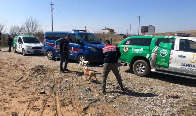 Batman&#039;da &#039;yasaklı ırk&#039; sahiplerine 197 bin 784 TL ceza kesildi