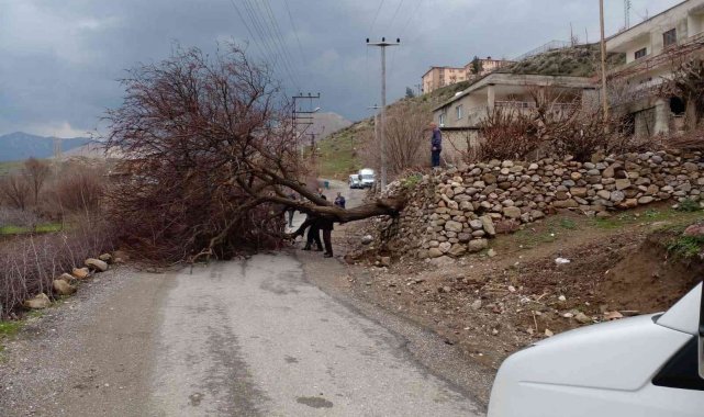 Batman&#039;da şiddetli rüzgarda direkler kırıldı, ağaçlar devrildi