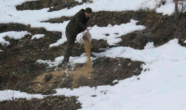 Bayburt'ta yaban hayvanları unutulmuyor