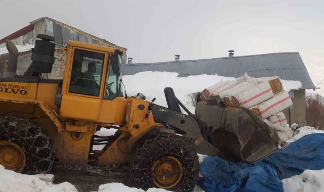 Belediye ekipleri aç kalan hayvanlar için seferber oldu