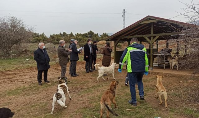 Beslenme noktalarını incelediler