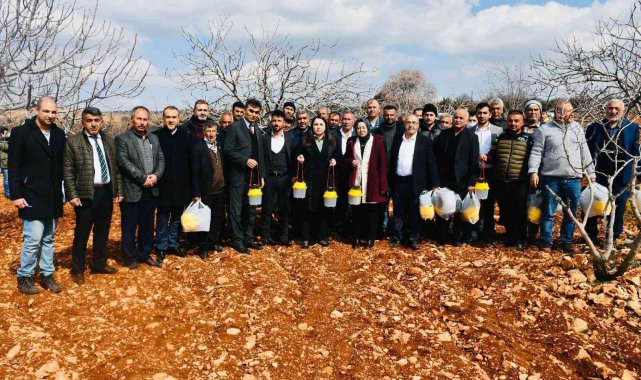 Besni&#039;de ki Antepfıstığı üreticilerine tuzak dağıtıldı