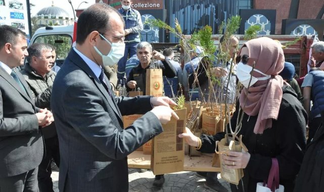 Biga'da ücretsiz fidan dağıtıldı