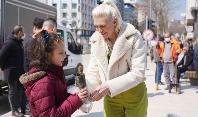 Bilecik'te ücretsiz bin çam fidanı dağıtıldı