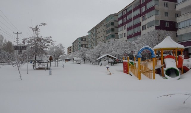 Bitlis&#039;te 207 köy yolu ulaşıma kapandı