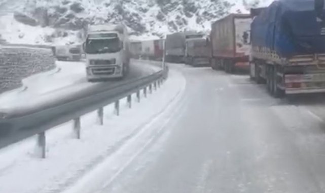 Bitlis'te kar yolları kapattı, kilometrelerce kuyruk oluştu