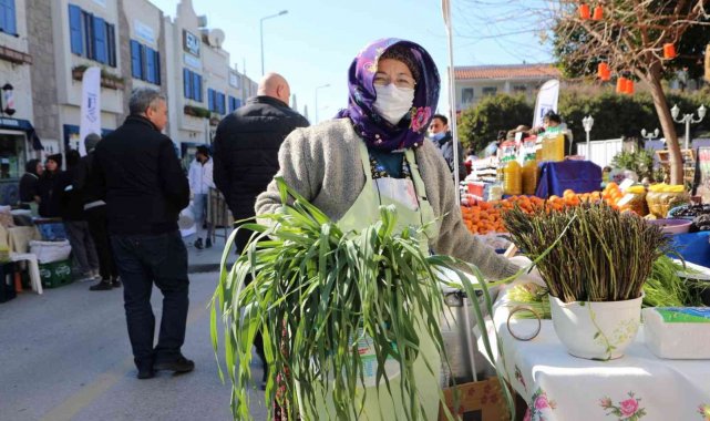 Bodrum acı ot festivaline binlerce kişi akın etti
