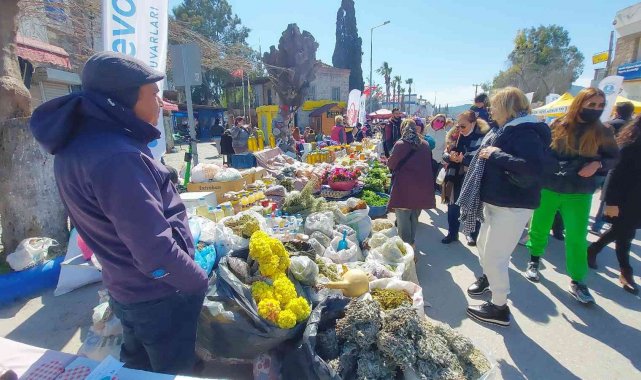 Bodrum'da bu defa 'ot festivali' düzenlendi