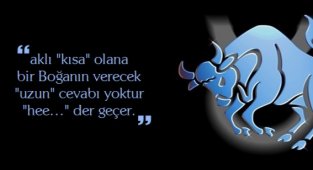 Boğa Burcu Özellikleri Nelerdir ? Hangi Burçlarla Anlaşabilir ?