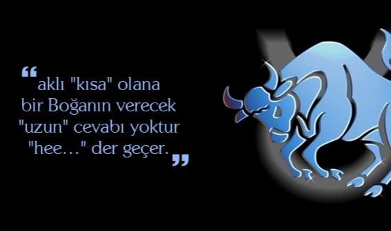 Boğa Burcu Özellikleri Nelerdir ? Hangi Burçlarla Anlaşabilir ?