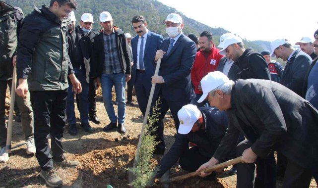 Bozyazı'da fidan dikim etkinliği