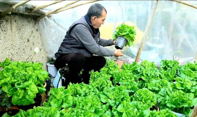 Bu da 'Bitmeyen marul' projesi