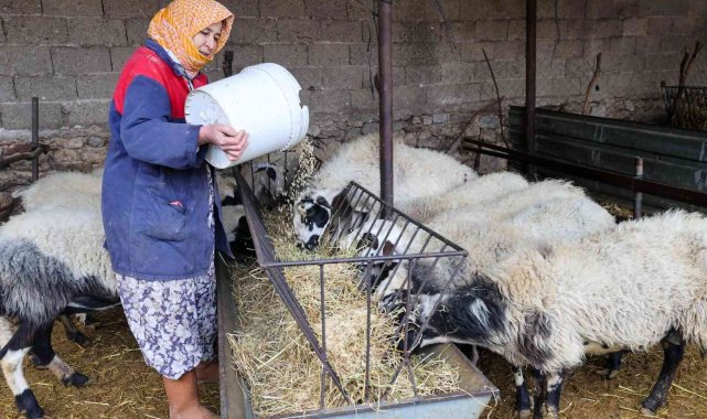 Buca Belediyesinden çiftçiye arpa desteği