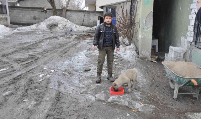 Bulanık&#039;ta &#039;Bir Kap Bin Cana Dokunur&#039; projesi