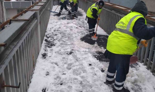 Bursa'da kar yayalara da engel değil