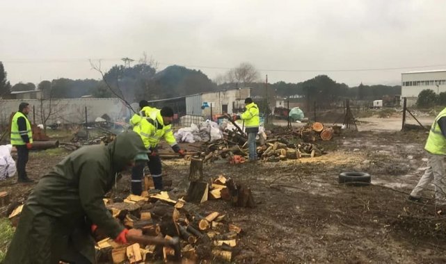 Çan Belediyesinden yakacak yardımı