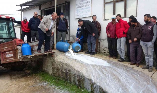 Çanakkale'de mandıracılara kızıp 200 kilogram sütü döktüler