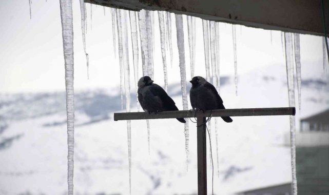 Çatılarda 2 metrelik buz sarkıtları oluştu